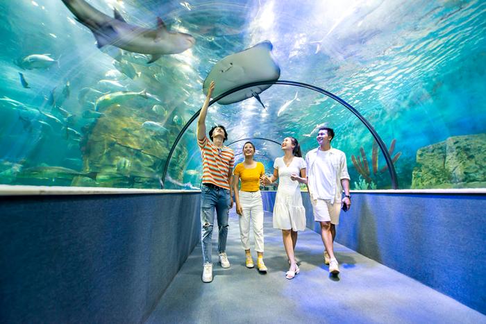 Review Thủy cung Times City - Vinpearl Aquarium có gì?