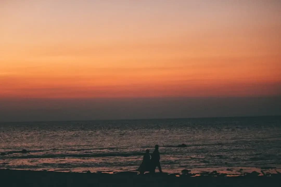 silhouette of people on beach during sunset