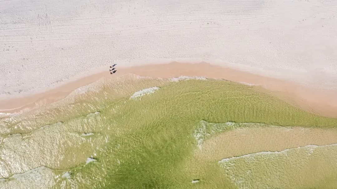 a bird's eye view of a sandy beach