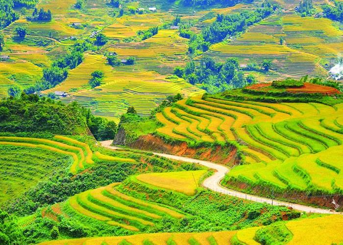 Top 6 ruộng bậc thang đẹp nhất Việt Nam