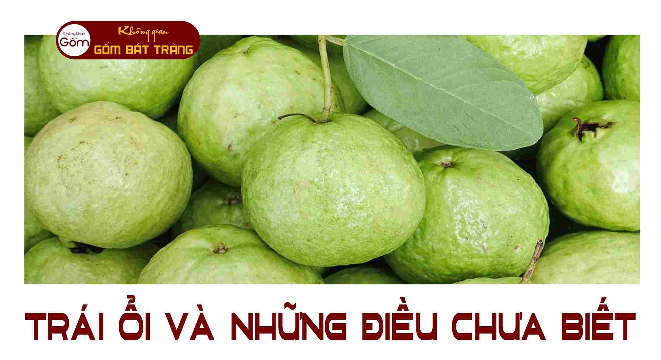 Cách Ngâm Rượu Ổi – thơm ngon khó cưỡng