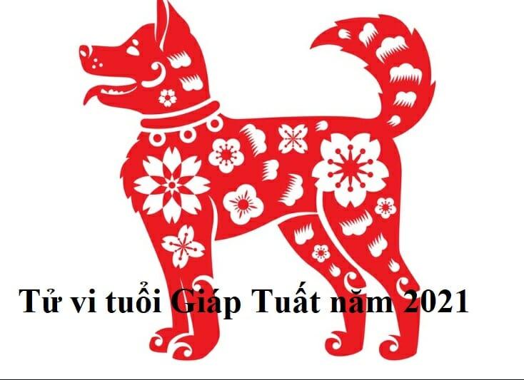 Tử Vi tuổi Giáp Tuất 1994 năm 2021 – Đại Hạn Năm 28 Tuổi.