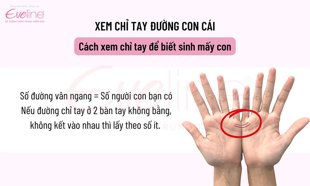 Luận giải đường con cái cực chuẩn ngay tại nhà