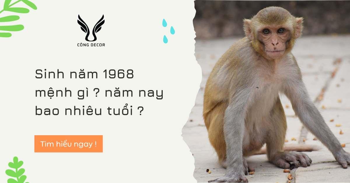 Sinh 68 mệnh gì? hợp tuổi nào ? năm nay bao nhiêu tuổi ?