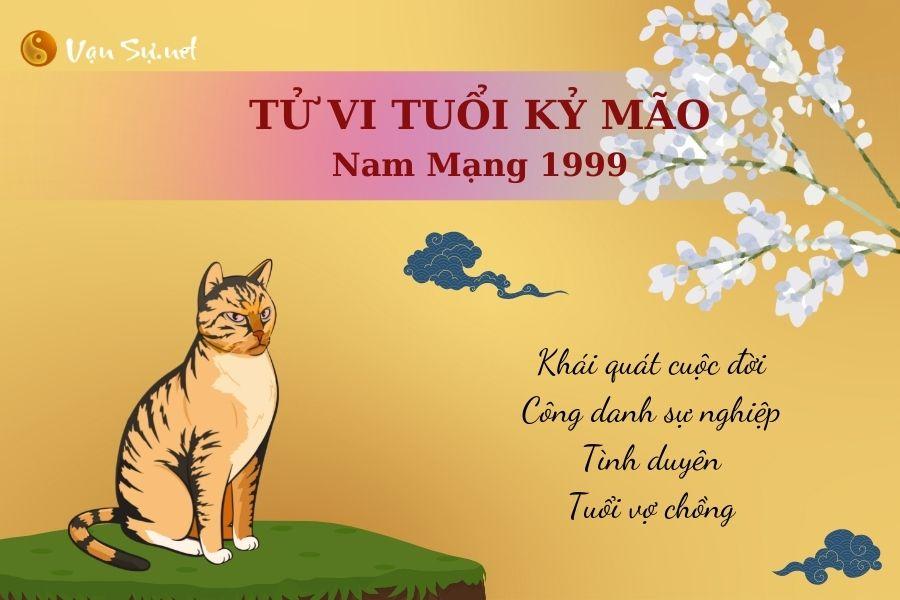 Tử Vi Tuổi Kỷ Mão 1999 - Nam mạng | Chi tiết tử vi trọn đời