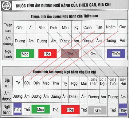 Thiên can và Địa chi trong phong thủy, xem phong thủy như thế nào mới đúng?