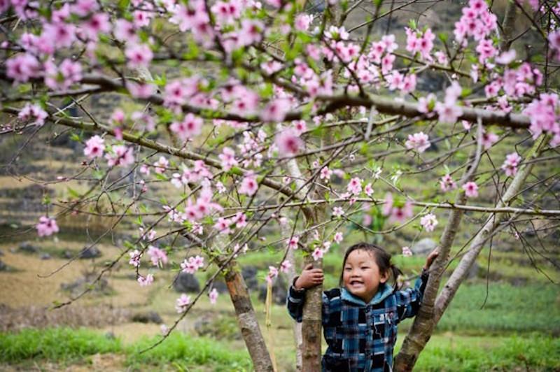 Kinh nghiệm du lịch Mộc Châu tháng 1