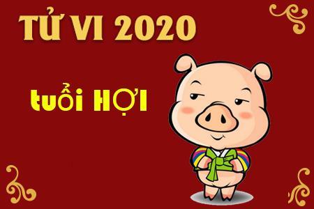 Tử vi tuổi Hợi năm 2020: Sự nghiệp vướng phải nhiều thị phi, hung tinh ám quẻ cần đề phòng