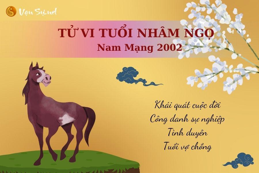 Tử Vi Tuổi Nhâm Ngọ 2002 - Nam mạng | Chi tiết tử vi trọn đời