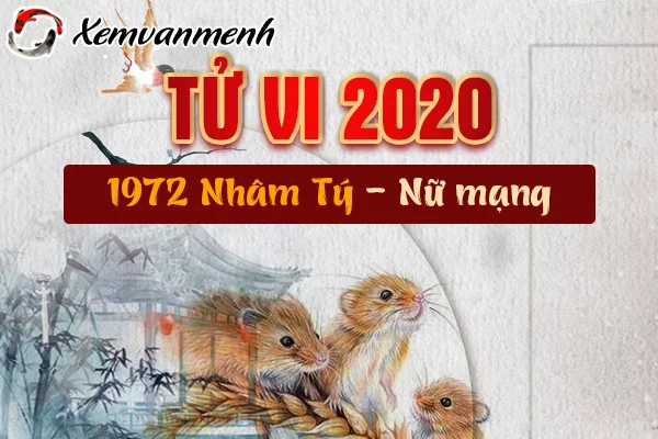 Xem Tử Vi Tuổi Nhâm Tý Năm 2020 Nữ Mạng Sinh Năm 1972