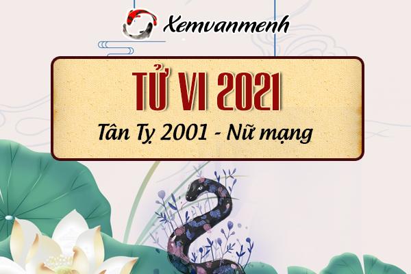 Luận tử vi tuổi Tân Tỵ năm 2021 nữ mạng sinh năm 2001