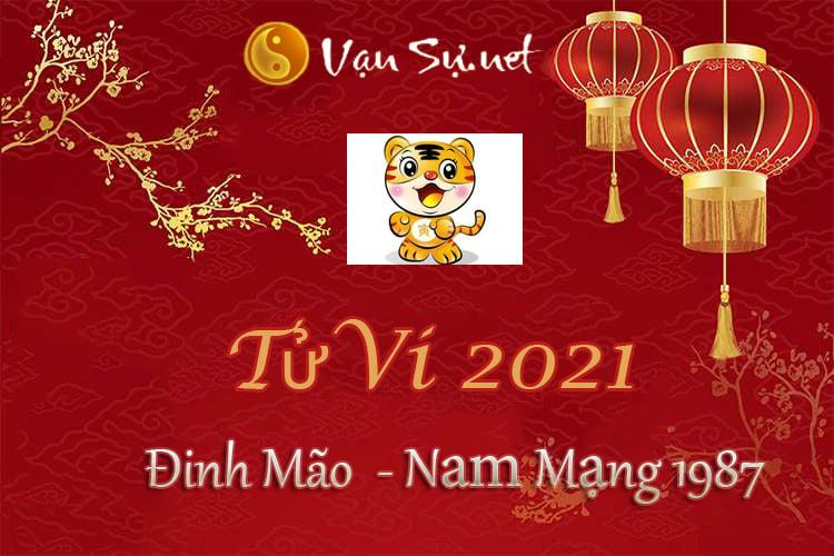 Tử Vi Tuổi Đinh Mão 2021 - Nam Mạng Sinh Năm 1987 Chi Tiết