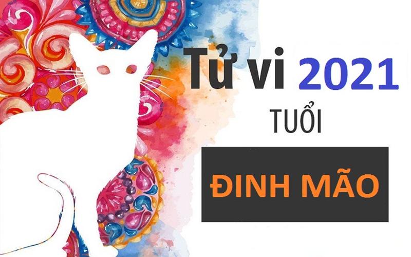 Tử vi Đinh Mão năm 2021 – Sự nghiệp, Tài lộc ra sao?