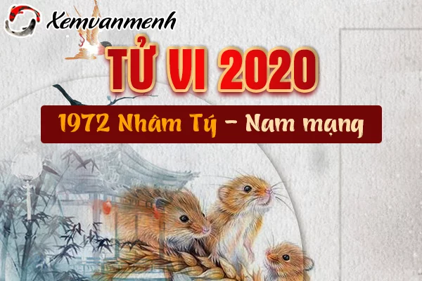 Xem Tử Vi Năm 2020 Tuổi Nhâm Tý Nam Mạng Sinh Năm 1972