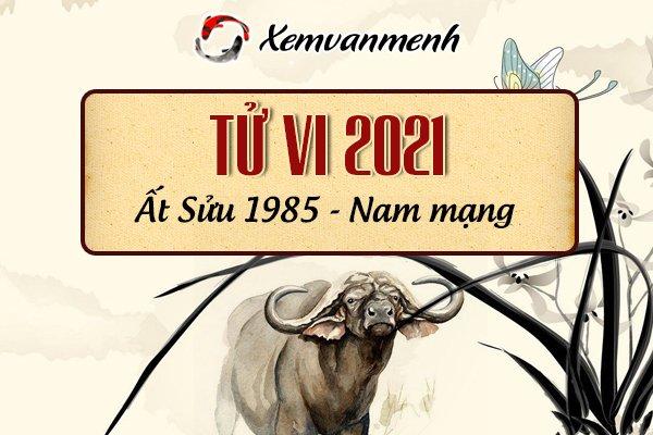 Xem tử vi 2021 tuổi Ất Sửu 1985 nam mạng vận hạn tốt xấu