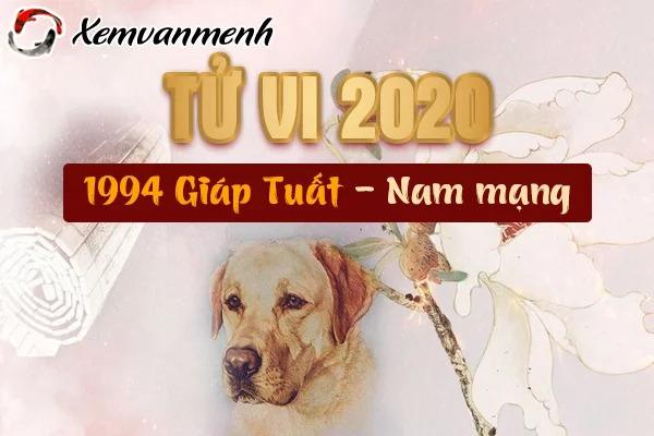 Xem tử vi năm 2020 tuổi Giáp Tuất 1994 nam mạng