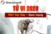 Xem tử vi 2020 tuổi Tân Sửu 1961 nam mạng