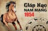 Xem tử vi tuổi Giáp Ngọ 1954 - Nam mạng năm 2024 CHI TIẾT NHẤT