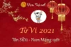 Tử Vi Tuổi Kỷ Mùi 2021 - Nam Mạng Sinh Năm 1979 Chi Tiết